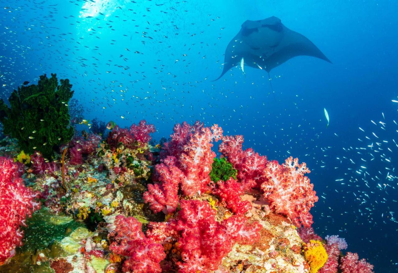 AYANA Komodo Waecicu Beach Labuan Bajo Zewnętrze zdjęcie