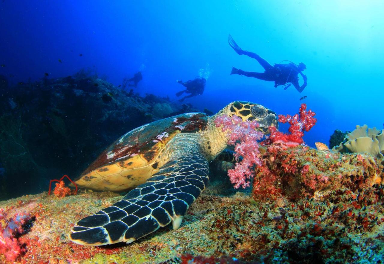 AYANA Komodo Waecicu Beach Labuan Bajo Zewnętrze zdjęcie