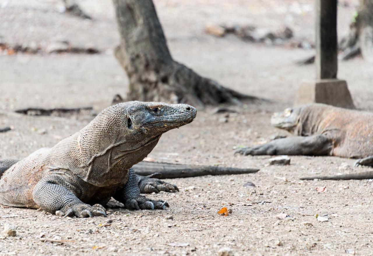 AYANA Komodo Waecicu Beach Labuan Bajo Zewnętrze zdjęcie
